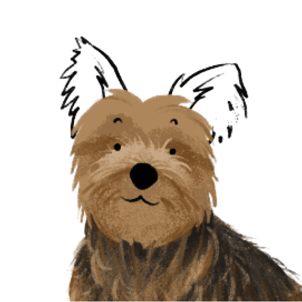 Yorkie illustration