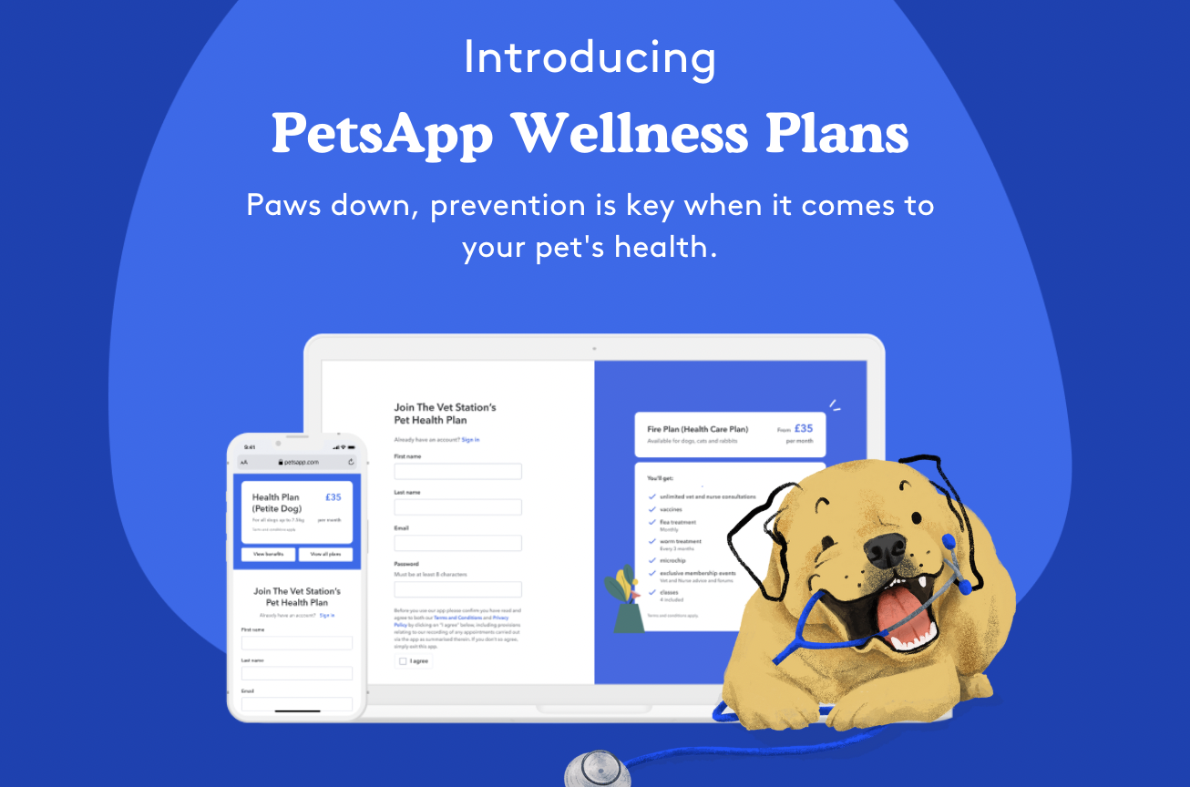 Wellness Plans