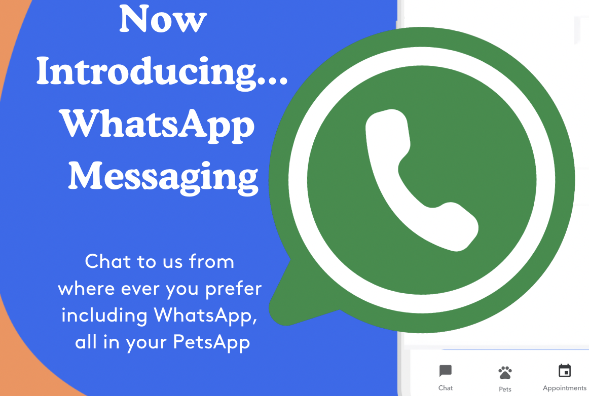WhatsApp Integration